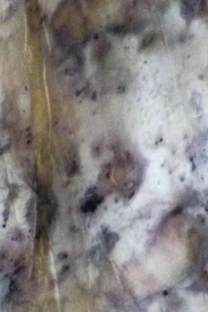Ciuvre 7.webp