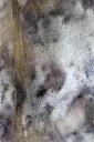Ciuvre 7.webp
