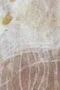 LLRosePrintemps 6.webp